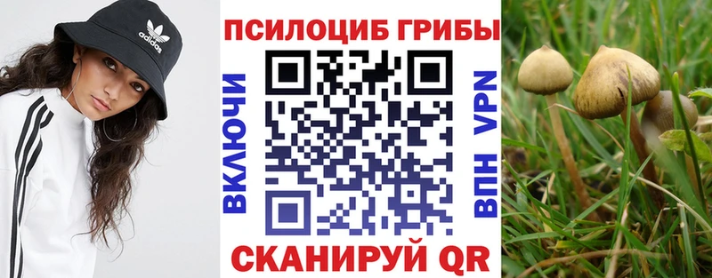 магазин продажи   Невельск  Галлюциногенные грибы Psilocybine cubensis 